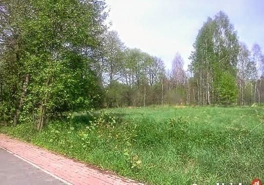 Działka rekreacyjna Adamówek, ul. Pańska. Zdjęcie 16