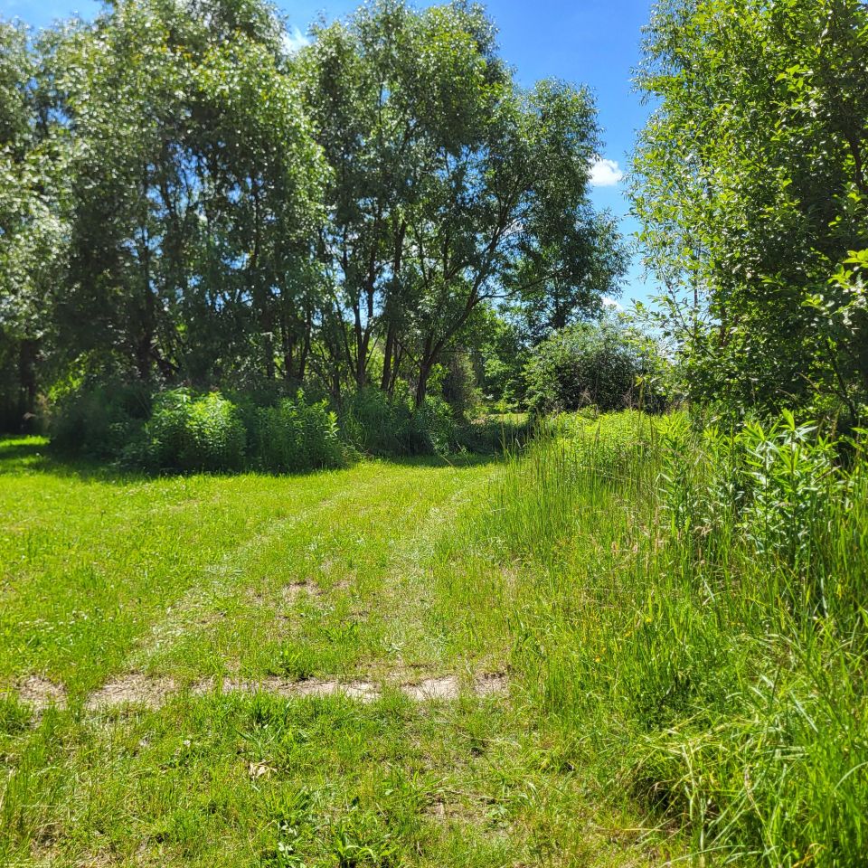 Działka inwestycyjna Kielce Dyminy-Wieś, ul. Sukowska. Zdjęcie 12