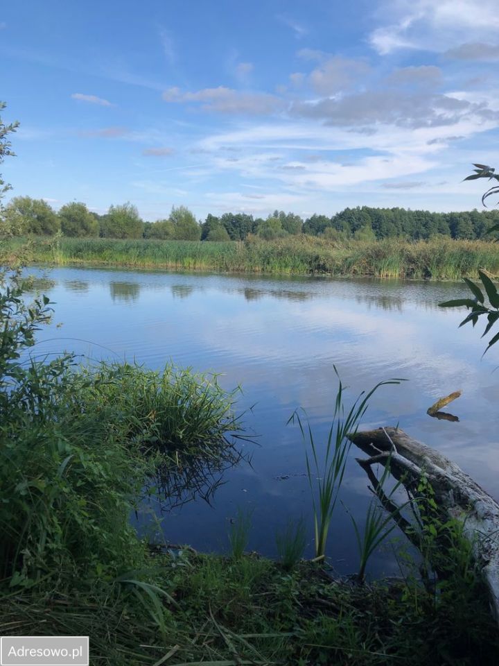 Działka budowlana Goplana. Zdjęcie 4