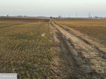 Działka rolna Trzebcz Królewski. Zdjęcie 4