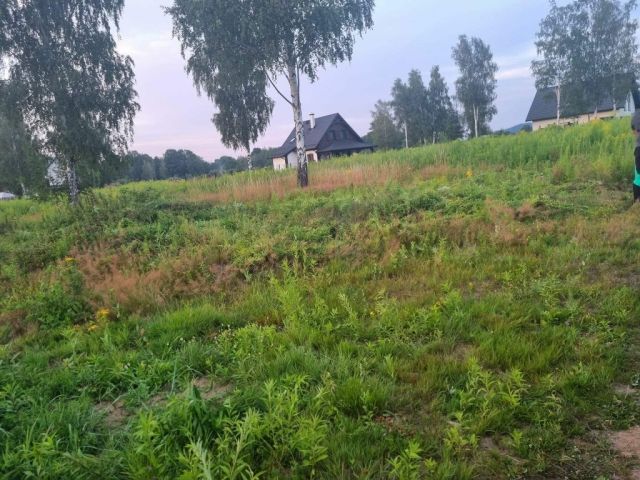 Działka budowlana Miłków, ul. Głębocka. Zdjęcie 1