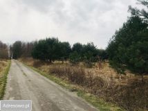 Działka siedliskowa Grzegorzewice. Zdjęcie 3