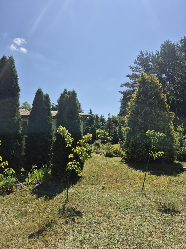 Działka budowlana Adamów-Wieś. Zdjęcie 5