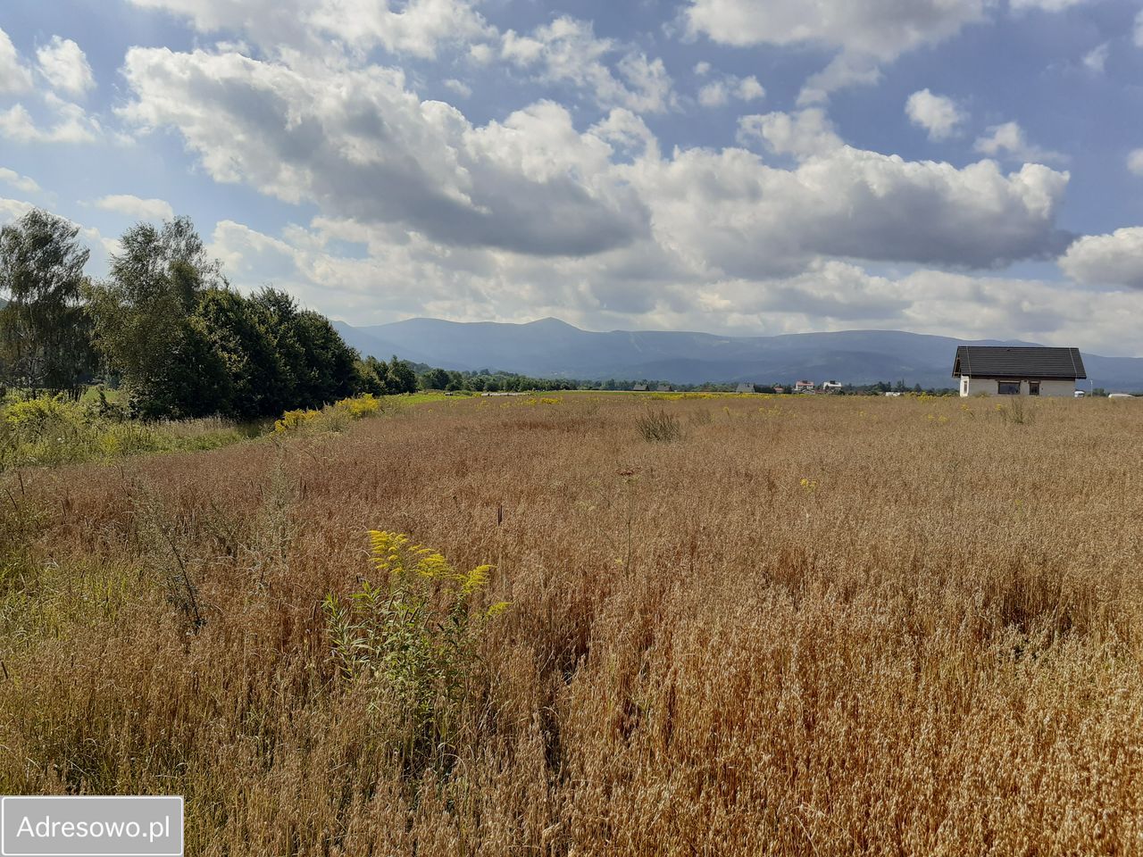 Działka budowlana Łomnica, ul. Klonowa. Zdjęcie 6