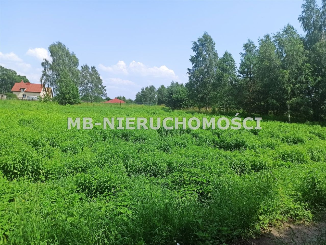 Działka budowlana Mielno. Zdjęcie 1