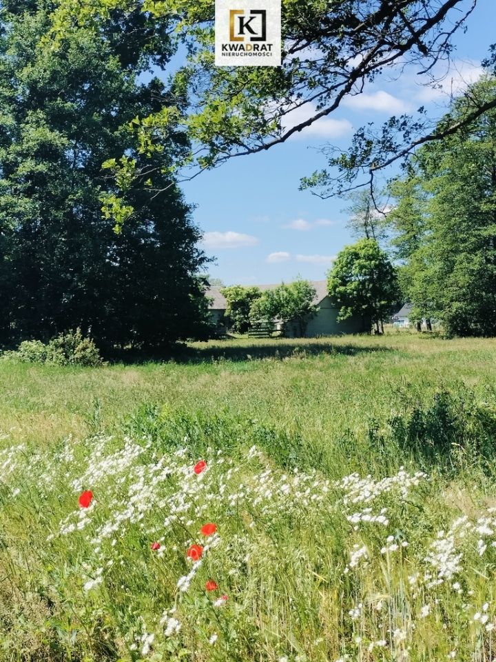 Działka budowlana Mikanów. Zdjęcie 2