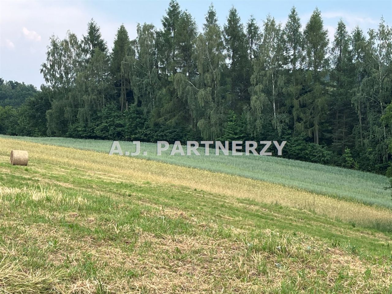 Działka budowlana Grajów. Zdjęcie 19