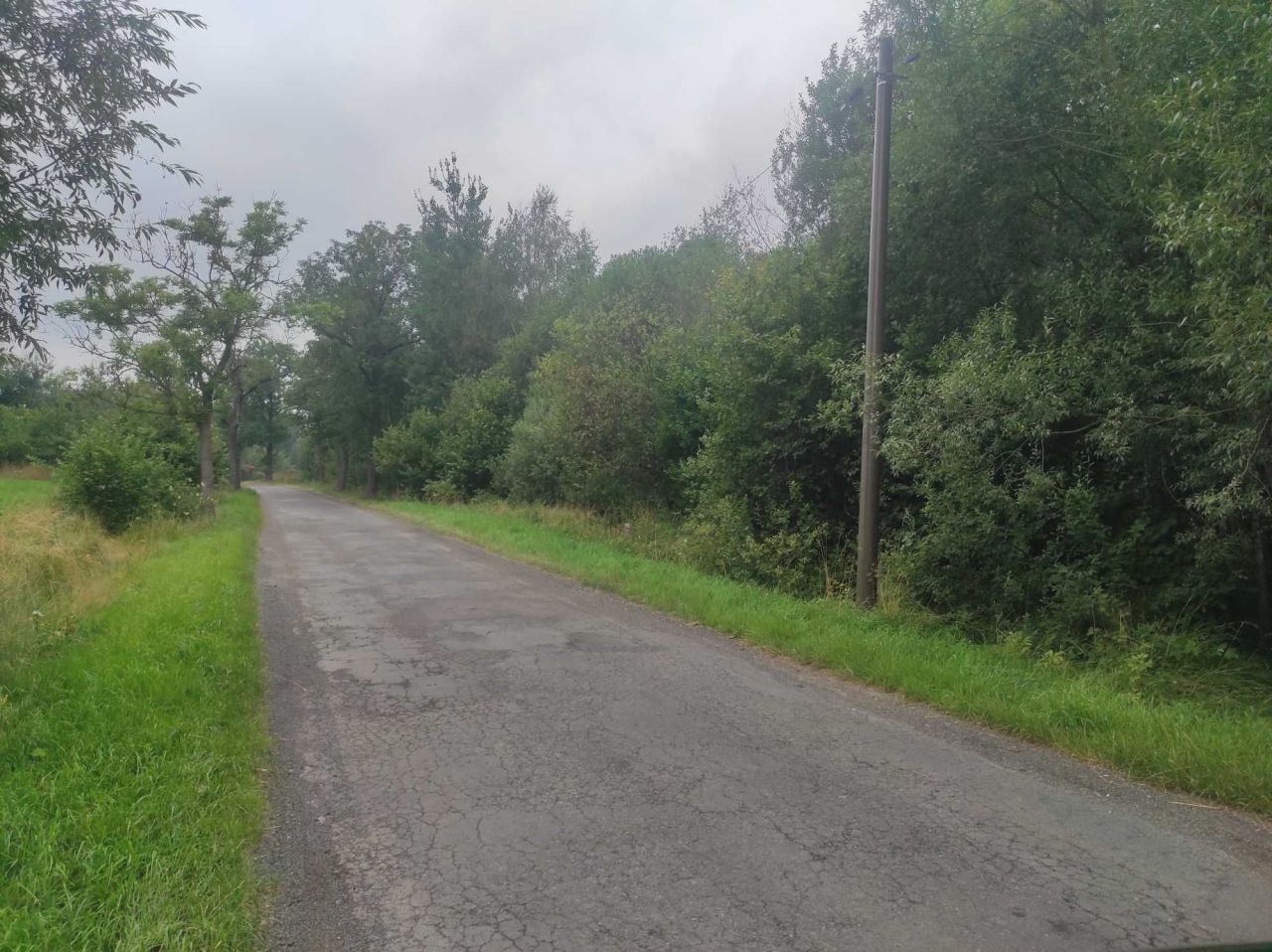 dom wolnostojący Rząśnik. Zdjęcie 2
