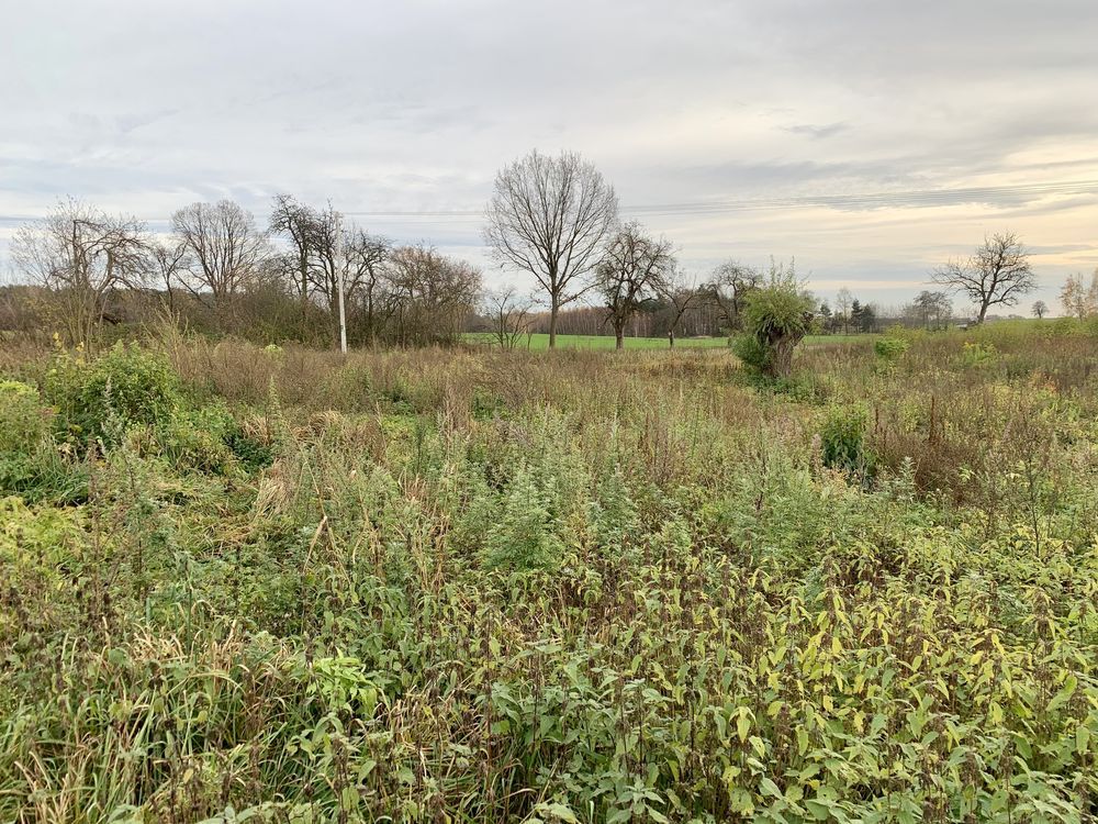 Działka budowlana Kowale Księże. Zdjęcie 3