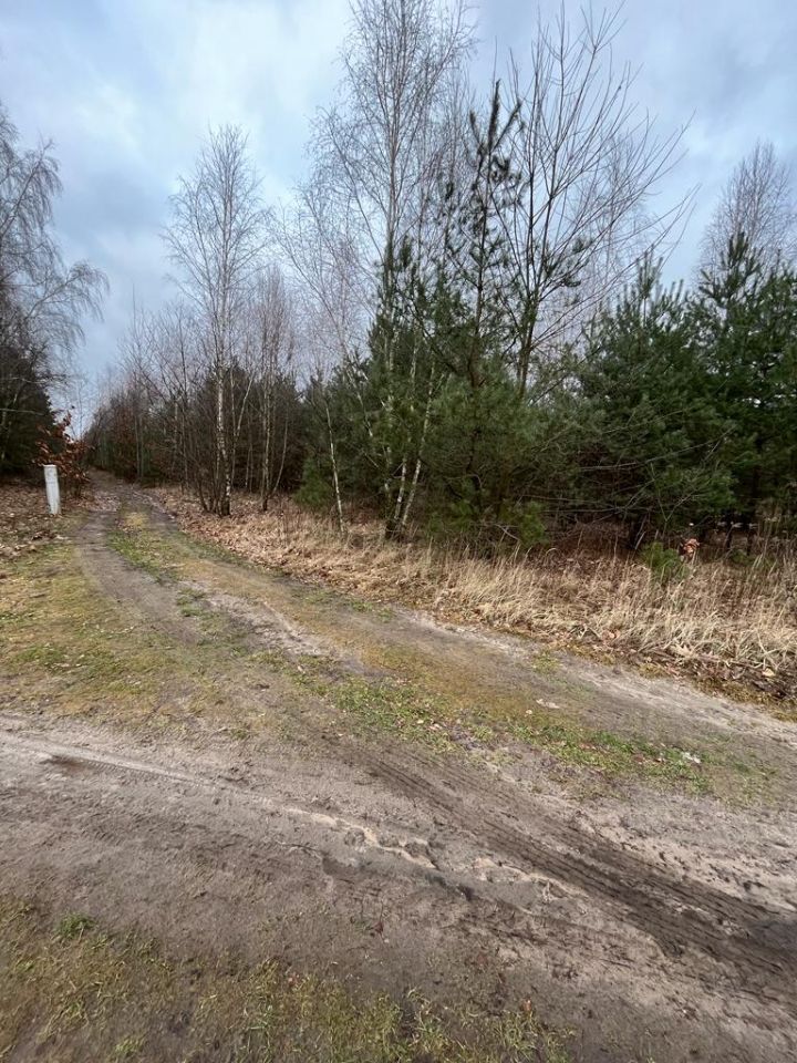 Działka rolno-budowlana Ciosny Ciosny-Sady. Zdjęcie 8