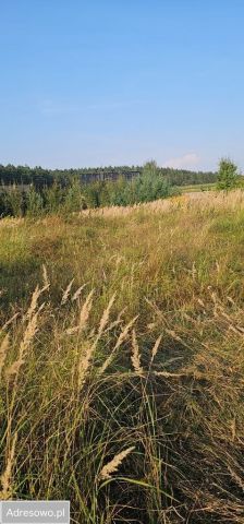 Działka rolno-budowlana Żółwin. Zdjęcie 1