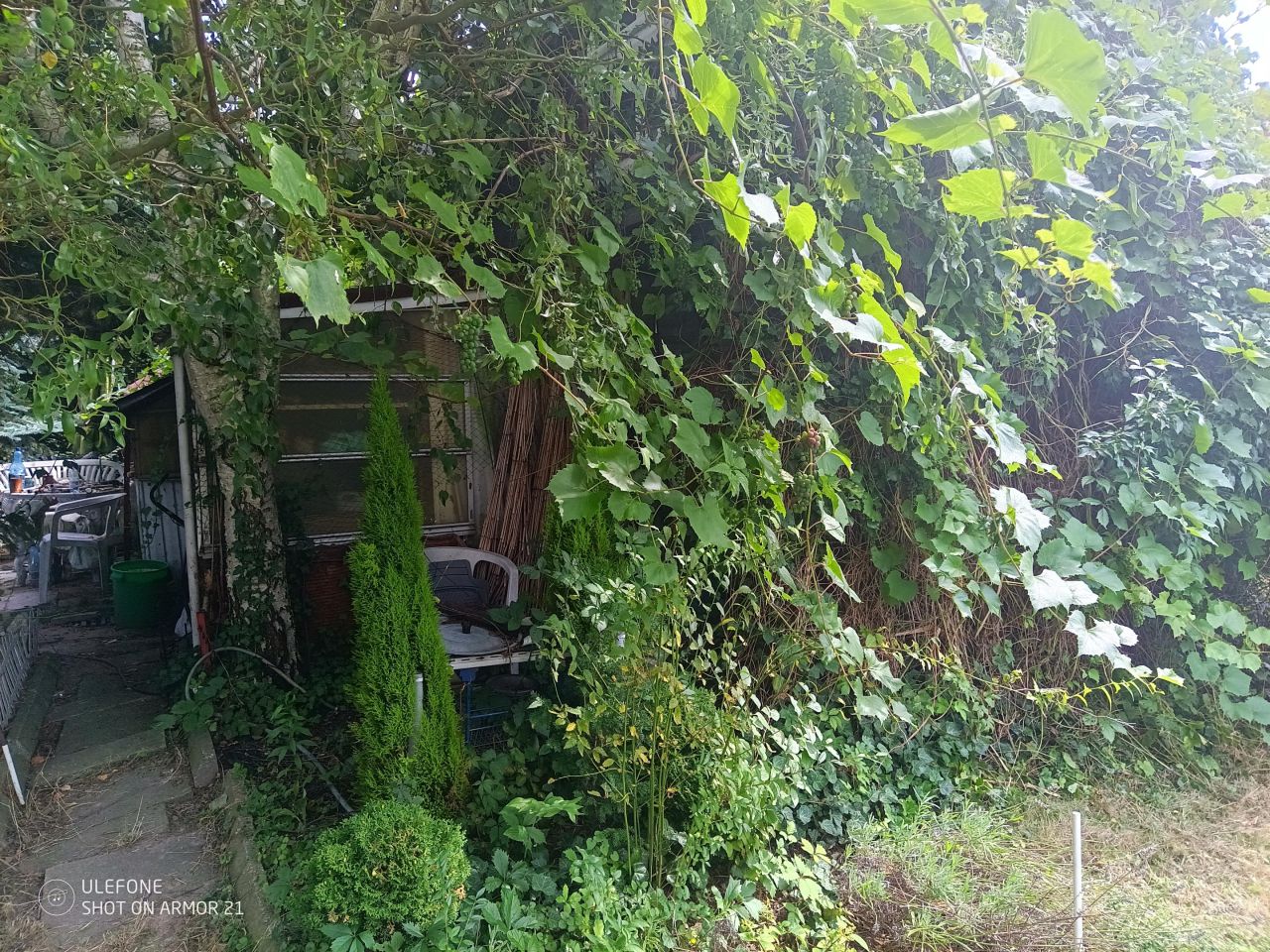 Działka rod Grzybiany, ul. Koskowicka. Zdjęcie 10