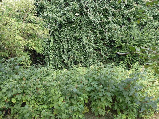 dom wolnostojący, 10 pokoi Jaźwina. Zdjęcie 72