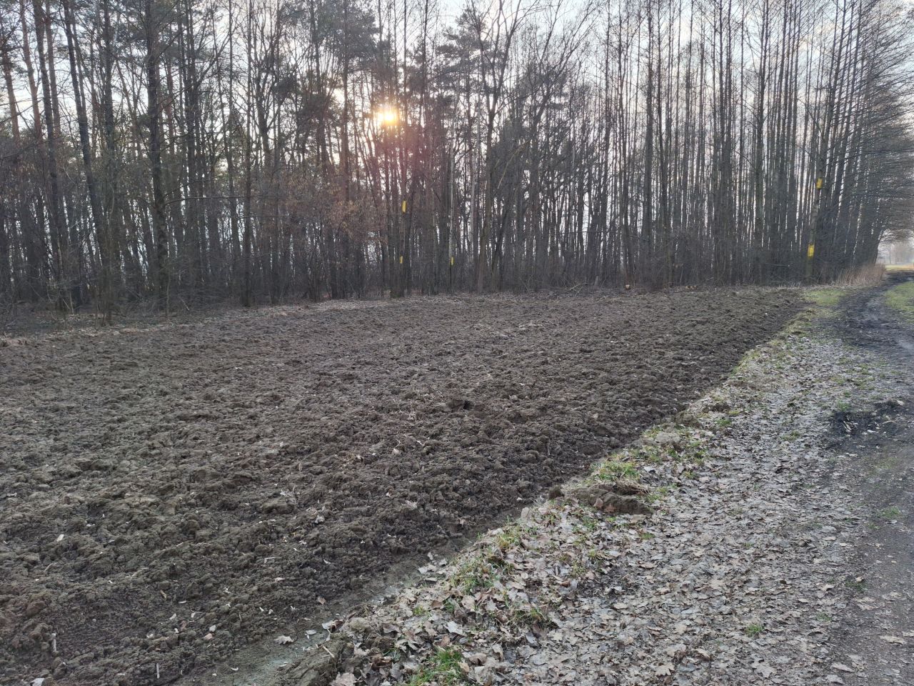 Działka rolno-budowlana Piotrowice, ul. Graniczna. Zdjęcie 10