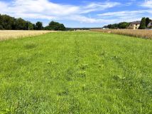 Działka rolno-budowlana Marklowice, ul. Jana Kilińskiego. Zdjęcie 3