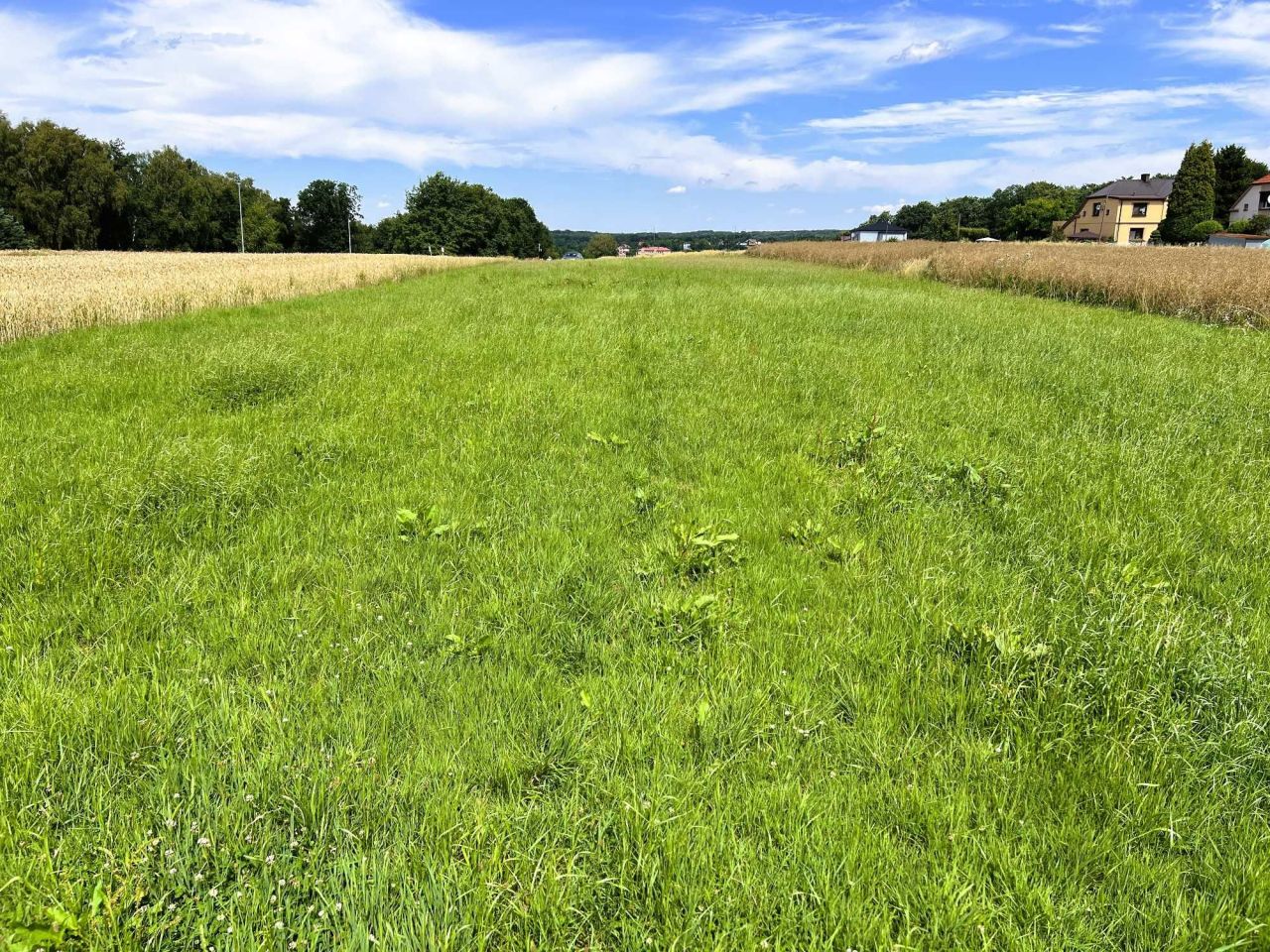Działka rolno-budowlana Marklowice, ul. Jana Kilińskiego. Zdjęcie 4
