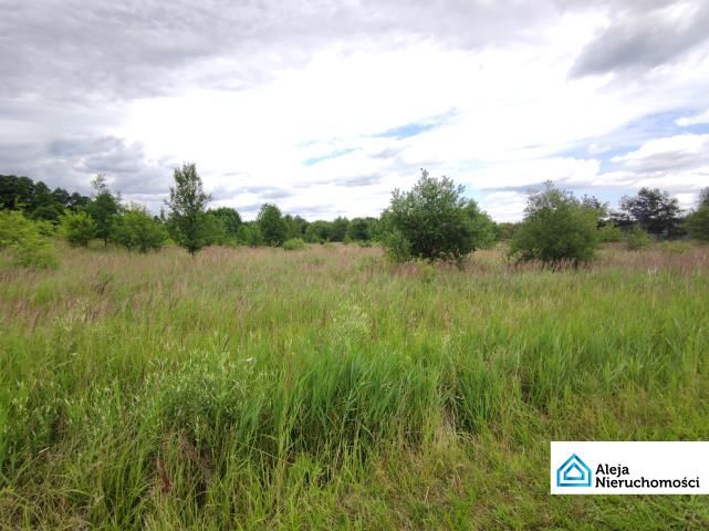 Działka inwestycyjna Częstochowa Dźbów. Zdjęcie 2