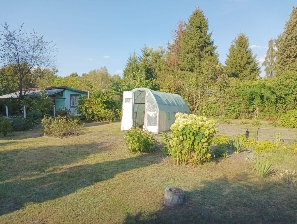 Działka rod Gliwice Sośnica. Zdjęcie 2