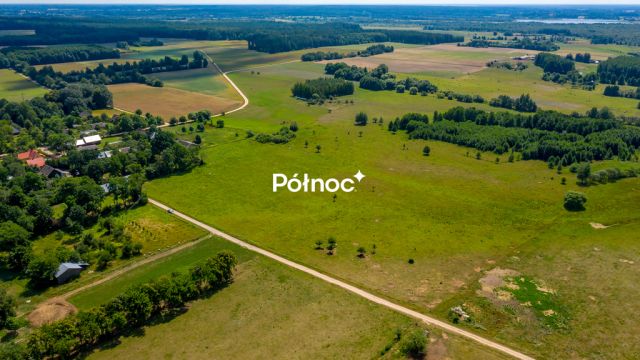 Działka rolna Mieleszki-Kolonia. Zdjęcie 9