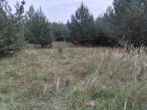 Działka budowlana Krzyżówka, ul. Wiejska. Zdjęcie 2