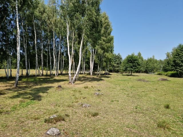 dom wolnostojący, 7 pokoi Tłuszcz. Zdjęcie 9