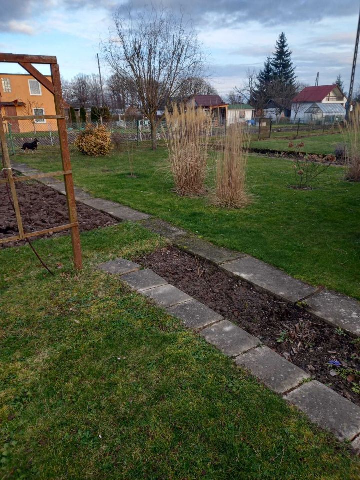 Działka rod Nysa, ul. Jagiellońska. Zdjęcie 5