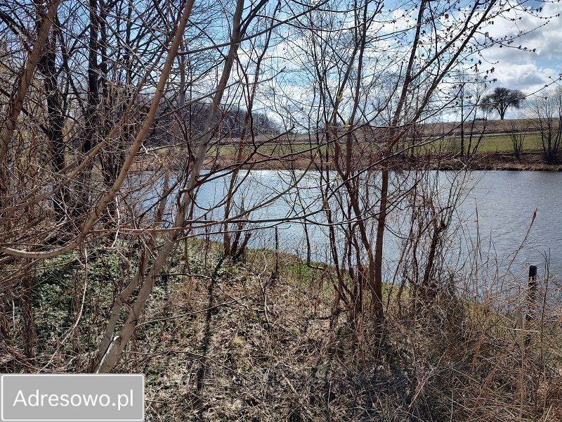 gospodarstwo, 7 pokoi Szczutkowo. Zdjęcie 12