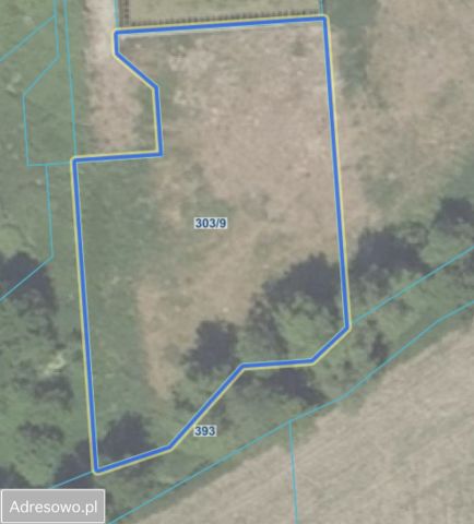 Działka budowlana Golędzinów. Zdjęcie 1