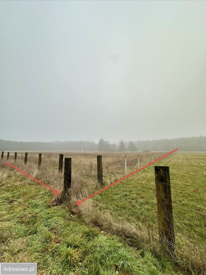 Działka budowlana Zatom Nowy. Zdjęcie 4