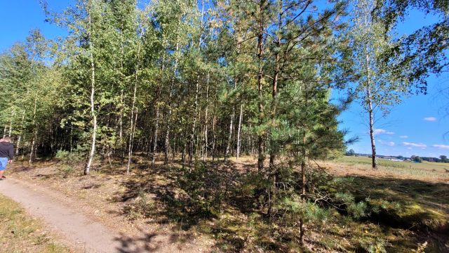 Działka siedliskowa Rupin. Zdjęcie 26