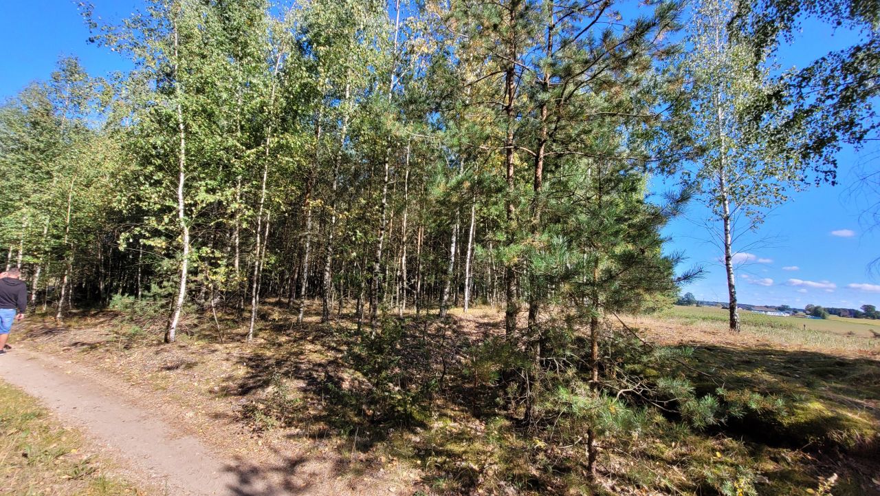 Działka siedliskowa Rupin. Zdjęcie 26