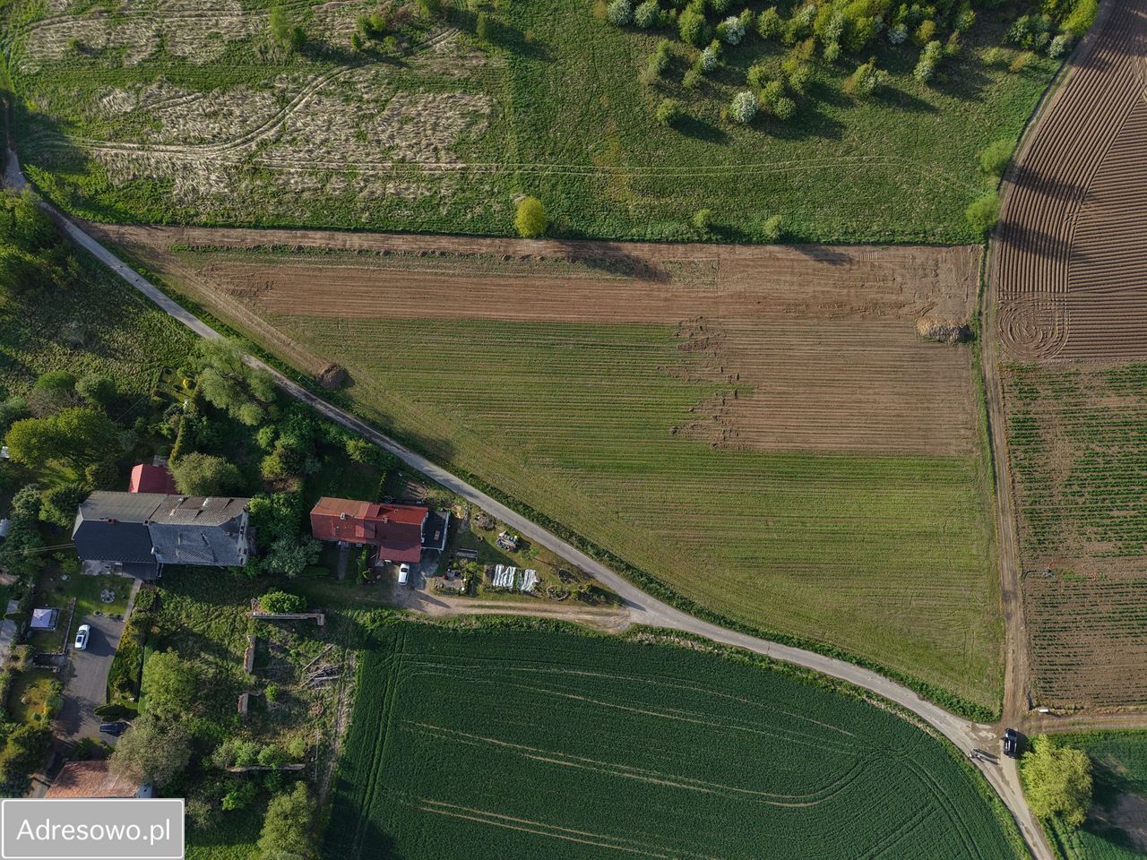 Działka budowlana Żeliszów. Zdjęcie 4