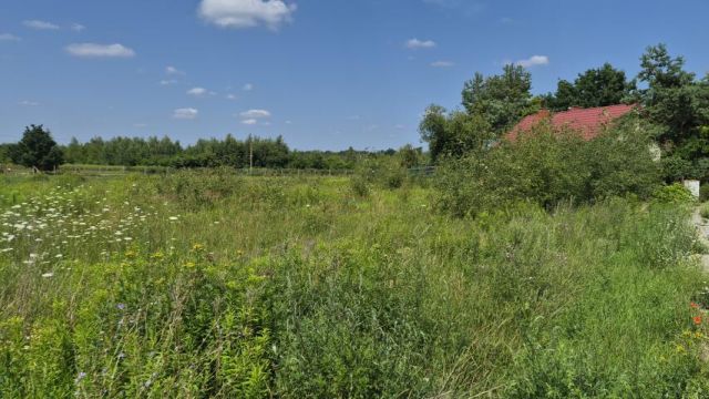 Działka budowlana Prażmów. Zdjęcie 1