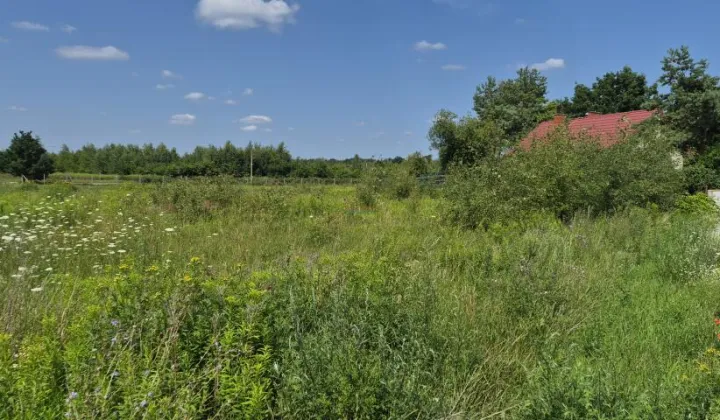 Działka budowlana Prażmów