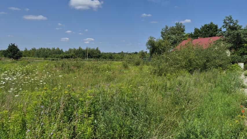 Działka budowlana Prażmów. Zdjęcie 1