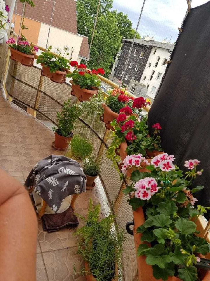 Mieszkanie 2-pokojowe Toruń Stawki. Zdjęcie 6