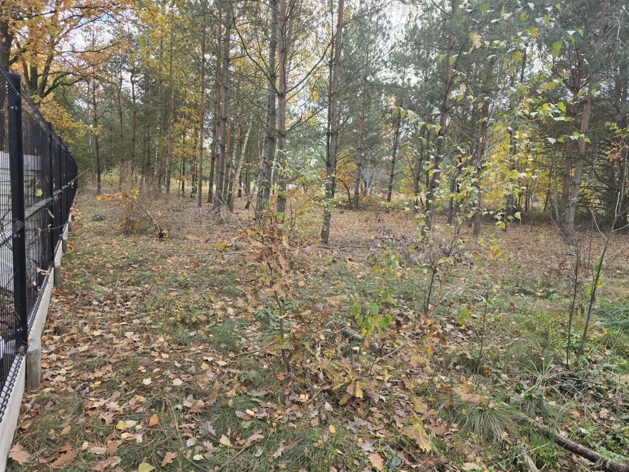 Działka budowlana Zabłocie. Zdjęcie 4