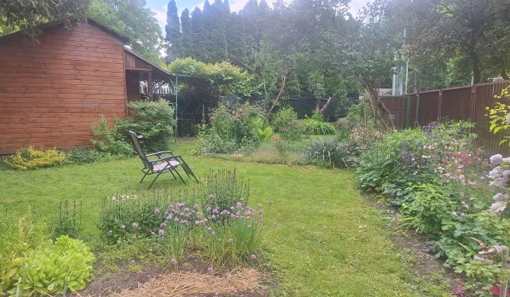 Działka rod Warszawa Bielany, ul. Klaudyny