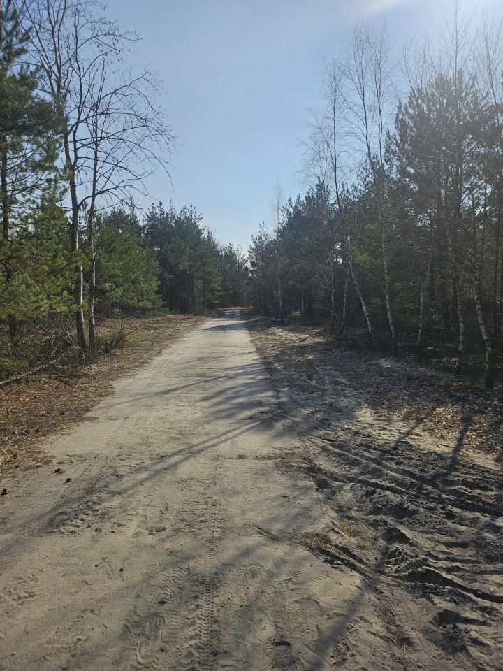 Działka rolno-budowlana Teodory. Zdjęcie 10
