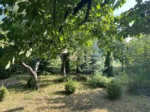 Działka rod Września, ul. Działkowców. Zdjęcie 1