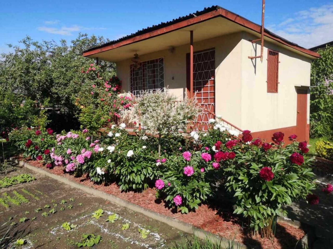 Działka rekreacyjna Jastrzębie-Zdrój