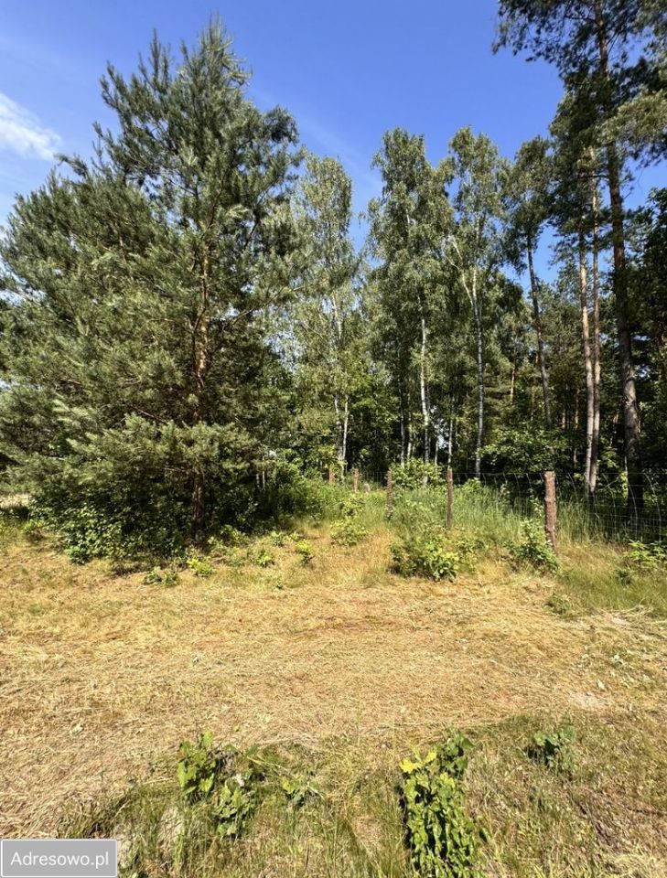 Działka rolno-budowlana Bartków