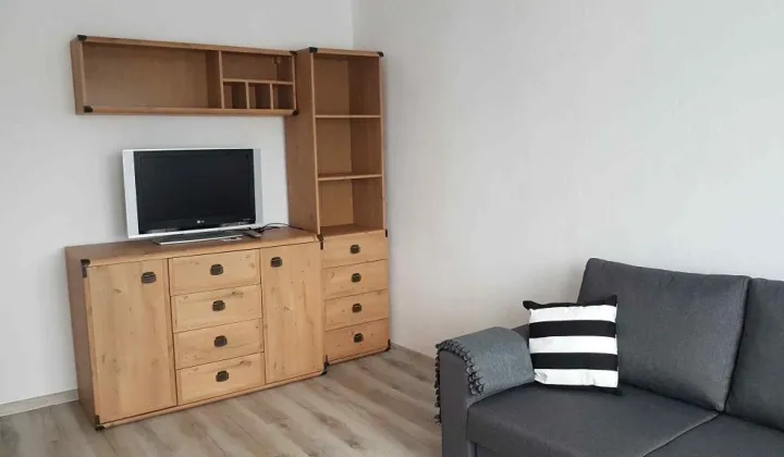 Mieszkanie 1-pokojowe Łódź Teofilów