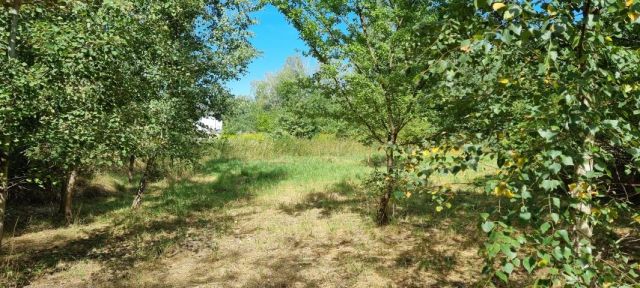 Działka budowlana Rusiec. Zdjęcie 1