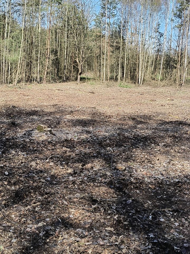 Działka rolno-budowlana Tarło-Kolonia. Zdjęcie 3