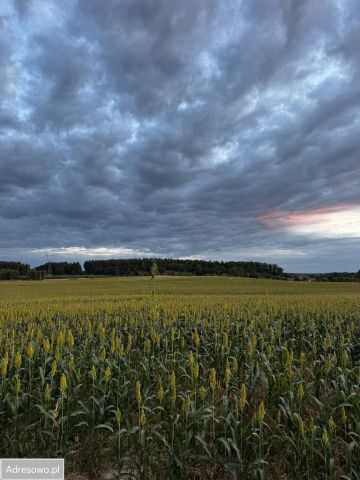 Działka budowlana Bądzów. Zdjęcie 1