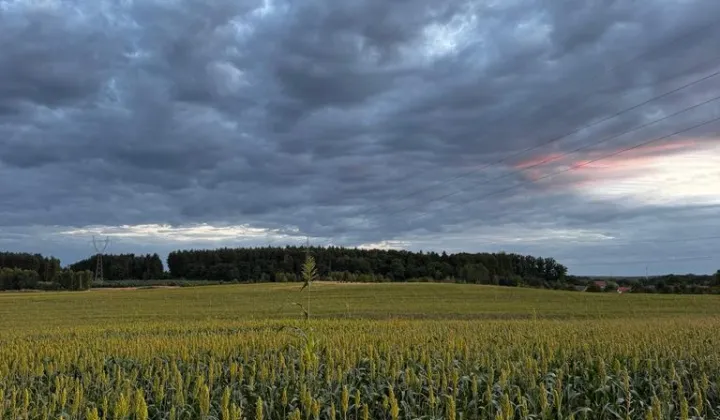 Działka budowlana Bądzów
