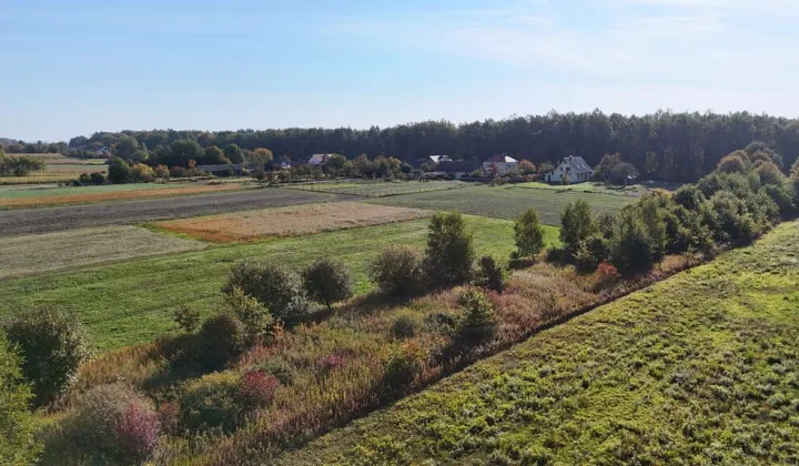 Działka Gwizdów