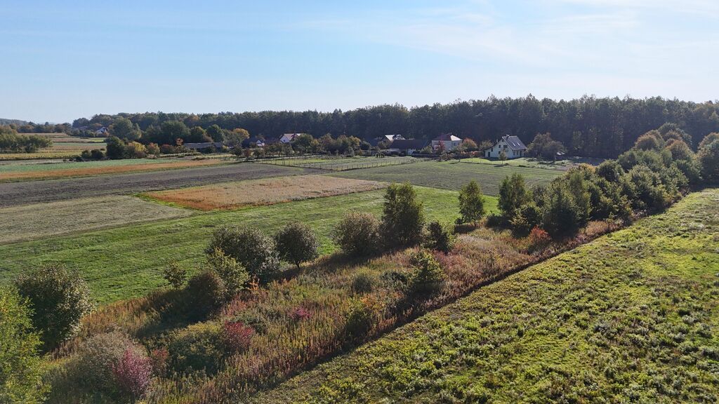 Działka Gwizdów. Zdjęcie 1
