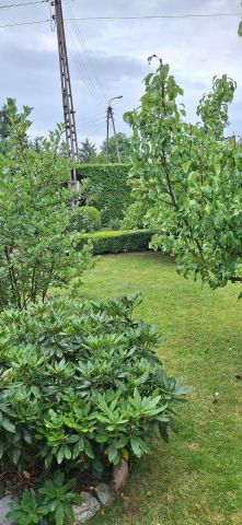 Działka rod Bydgoszcz Szwederowo. Zdjęcie 8